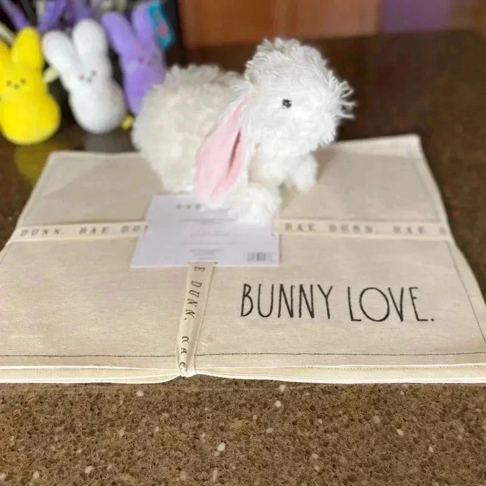 NEW SET of FOUR (4) Rae Dunn -  ADORABLE Easter Placemats with embroidery